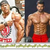 بروزترین مرجع بدنسازی