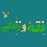 فقه و زندگی