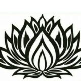 شرکت لوتوس آز