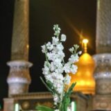 کانال رسمی حرم حضرت عبدالعظیم (ع)