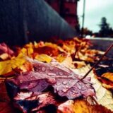 عاشقانه ها