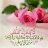 🍃🌷ارام دل هاخدا🌷🍃