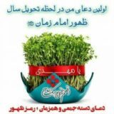 امام زمان(عج)