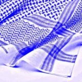 «دیوان الأبوذیه»