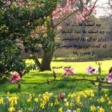 گل آفتاب گردون