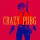 Crazy Pubg